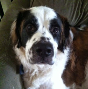 Meet your Posher, Adrienne